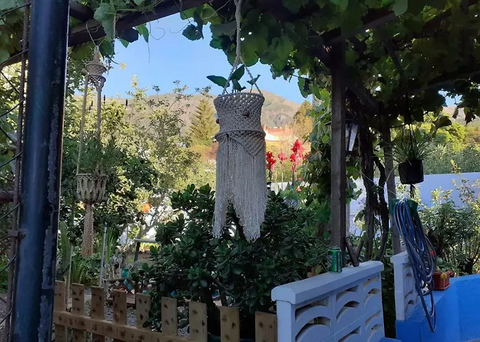 Casa Anaelia * La Orotava