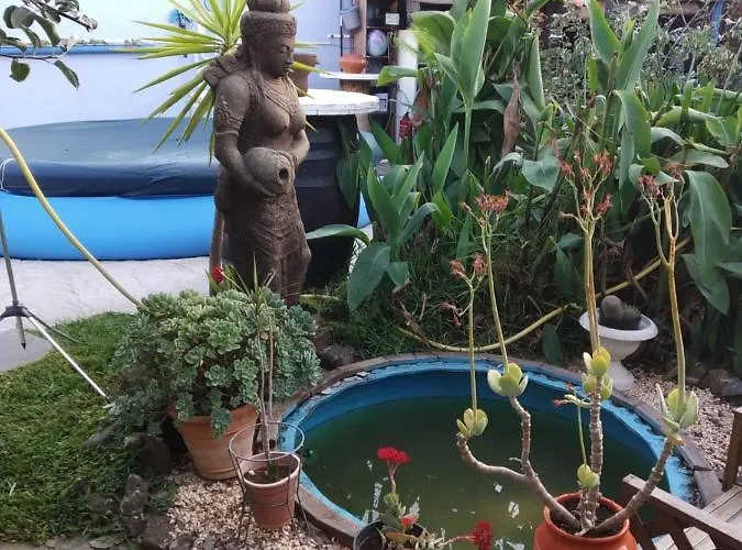 Casa Anaelia Дом отдыха Ля Оротава